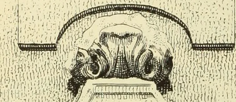 An illustration from Materials and documents of architecture and sculpture : classified alphabetically, 1915, leaf 245