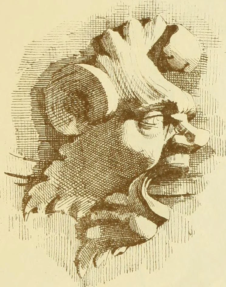 An illustration from Materials and documents of architecture and sculpture : classified alphabetically, 1915, leaf 26
