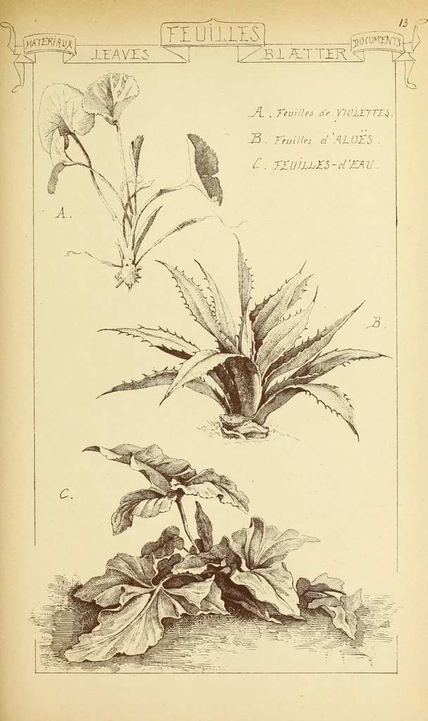 An illustration from Materials and documents of architecture and sculpture : classified alphabetically, 1915, leaf 308