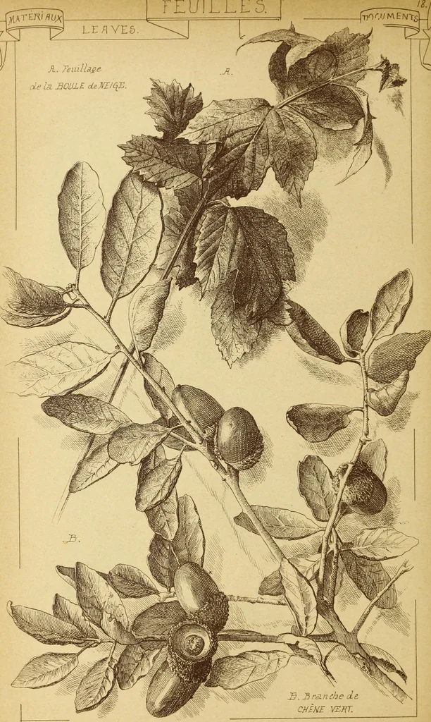 An illustration from Materials and documents of architecture and sculpture : classified alphabetically, 1915, leaf 313