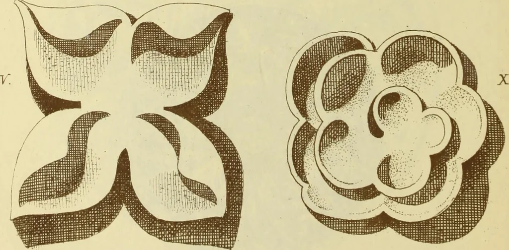 An illustration from Materials and documents of architecture and sculpture : classified alphabetically, 1915, leaf 277