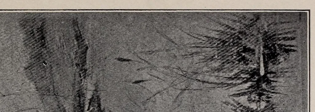 An illustration from Materials for permanent painting;, 1911, leaf 109