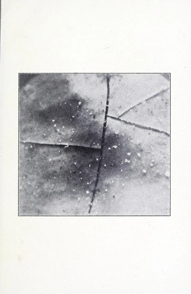 An illustration from Materials for permanent painting; a manual for manufacturers, art dealers, artists and collectors, 1911, leaf 87
