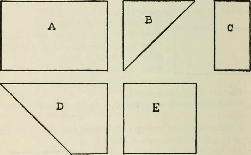 An illustration from Mathematical construction, informal number work for busy hands; grades one and two, 1911, leaf 31