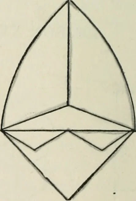 An illustration from Mathematical construction, informal number work for busy hands; grades one and two, 1911, leaf 55