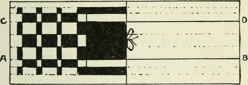 An illustration from Mathematical construction, informal number work for busy hands; grades one and two, 1911, leaf 86