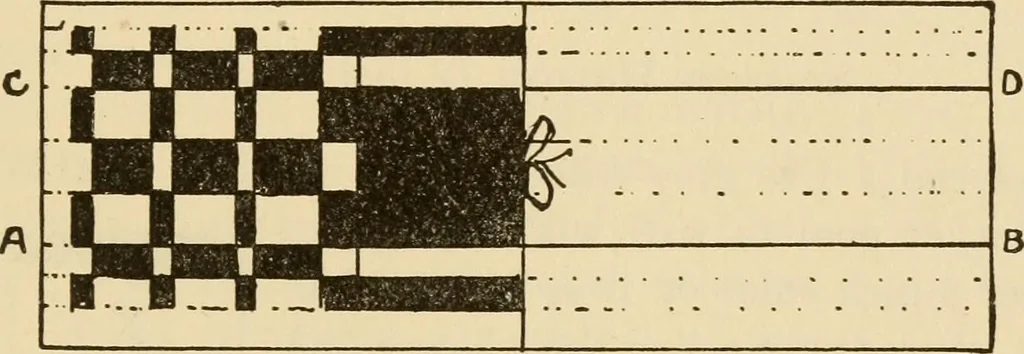 An illustration from Mathematical construction, informal number work for busy hands; grades one and two, 1911, leaf 86