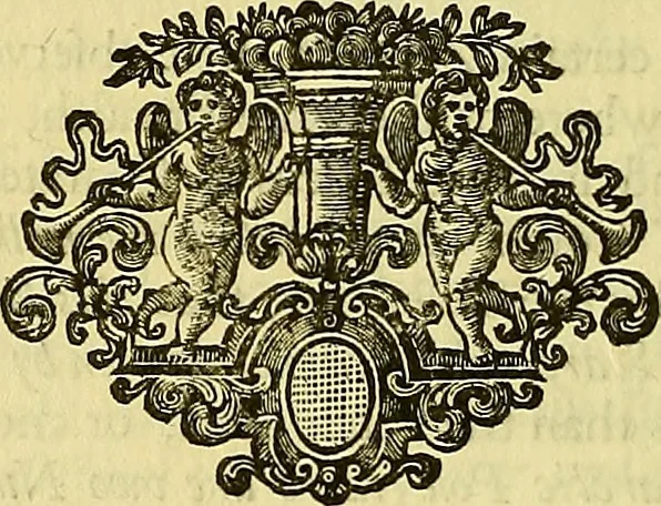 An illustration from Mathematical elements of natural philosophy, confirm'd by experiments : or, An introduction to Sir Isaac Newton's philosophy, 1747, leaf 449
