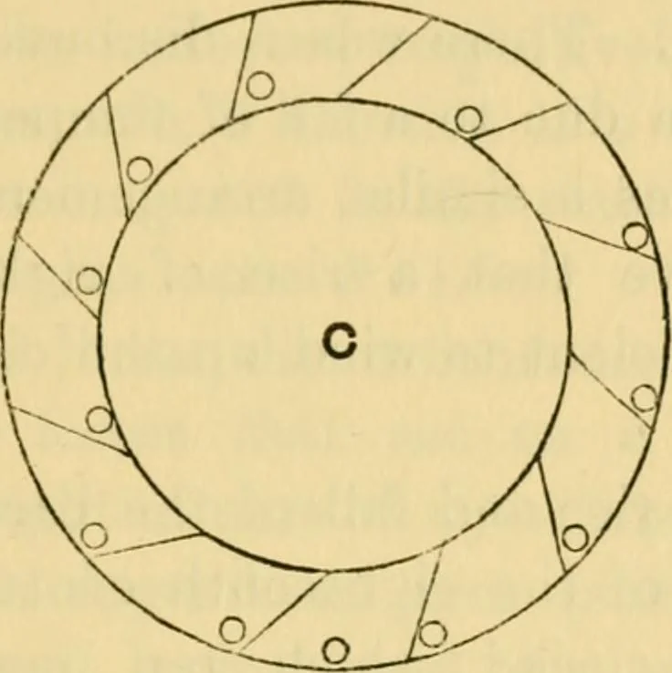 An illustration from Mathematical recreations and essays, 1914, leaf 116