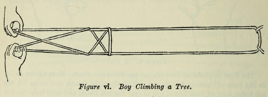 An illustration from Mathematical recreations and essays, 1911, leaf 384