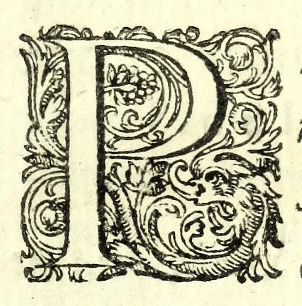 An illustration from Mathesis Caesarea, sive, Amussis Ferdinandea : in lucem publicam & usum eruditae posteritatis, gratulantibus litteratorum geniis evecta, atque ad problemata universae matheseos, praesertim vero architecturae militaris explicata jussu & auctoritate Augustissimi Imperatoris Ferdinandi III, 1662, leaf 119