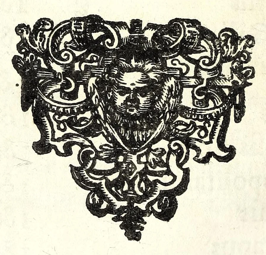 An illustration from Mathesis Caesarea, sive, Amussis Ferdinandea : in lucem publicam & usum eruditae posteritatis, gratulantibus litteratorum geniis evecta, atque ad problemata universae matheseos, praesertim vero architecturae militaris explicata jussu & auctoritate Augustissimi Imperatoris Ferdinandi III, 1662, leaf 204