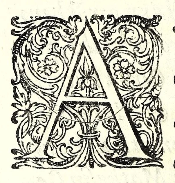 An illustration from Mathesis Caesarea, sive, Amussis Ferdinandea : in lucem publicam & usum eruditae posteritatis, gratulantibus litteratorum geniis evecta, atque ad problemata universae matheseos, praesertim vero architecturae militaris explicata jussu & auctoritate Augustissimi Imperatoris Ferdinandi III, 1662, leaf 24