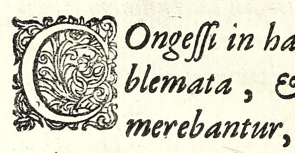 An illustration from Mathesis Caesarea, sive, Amussis Ferdinandea : in lucem publicam & usum eruditae posteritatis, gratulantibus litteratorum geniis evecta, atque ad problemata universae matheseos, praesertim vero architecturae militaris explicata jussu & auctoritate Augustissimi Imperatoris Ferdinandi III, 1662, leaf 348