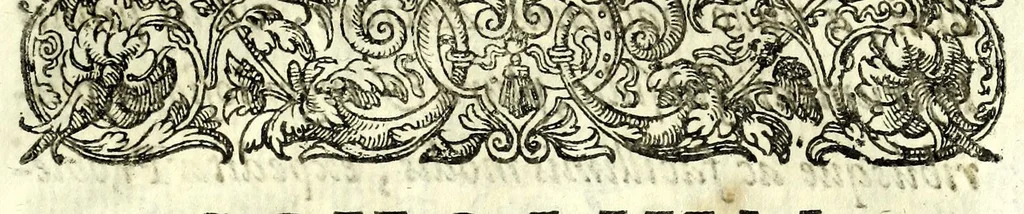 An illustration from Mathesis Caesarea, sive, Amussis Ferdinandea : in lucem publicam & usum eruditae posteritatis, gratulantibus litteratorum geniis evecta, atque ad problemata universae matheseos, praesertim vero architecturae militaris explicata jussu & auctoritate Augustissimi Imperatoris Ferdinandi III, 1662, leaf 455