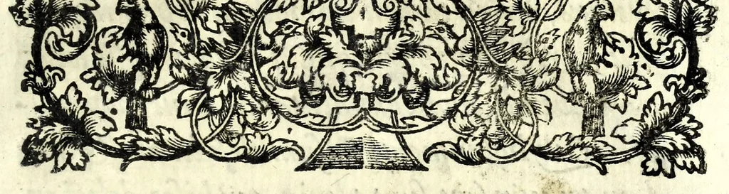 An illustration from Mathesis Caesarea, sive, Amussis Ferdinandea : in lucem publicam & usum eruditae posteritatis, gratulantibus litteratorum geniis evecta, atque ad problemata universae matheseos, praesertim vero architecturae militaris explicata jussu & auctoritate Augustissimi Imperatoris Ferdinandi III, 1662, leaf 457