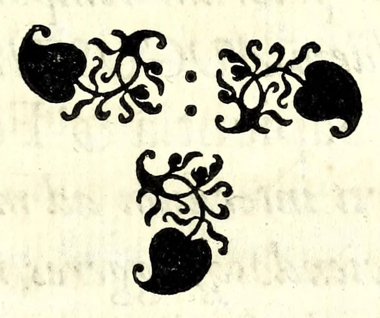 An illustration from Mathesis Caesarea, sive, Amussis Ferdinandea : in lucem publicam & usum eruditae posteritatis, gratulantibus litteratorum geniis evecta, atque ad problemata universae matheseos, praesertim vero architecturae militaris explicata jussu & auctoritate Augustissimi Imperatoris Ferdinandi III, 1662, leaf 47