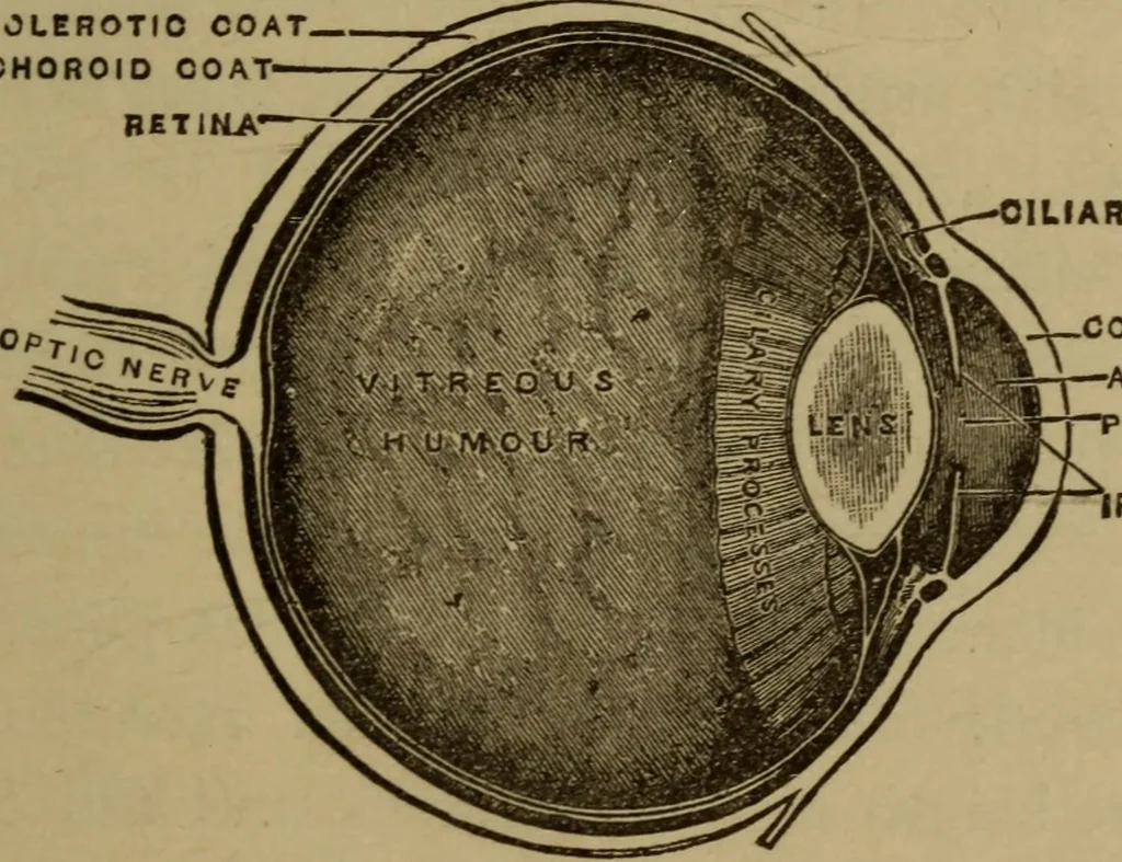 An illustration from Matter, ether, and motion; the factors and relations of physical science, 1892, leaf 176