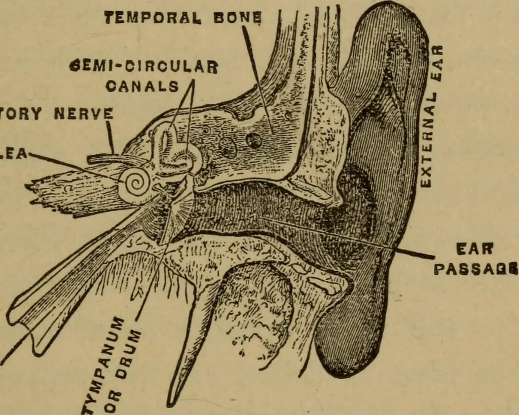 An illustration from Matter, ether, and motion; the factors and relations of physical science, 1892, leaf 288