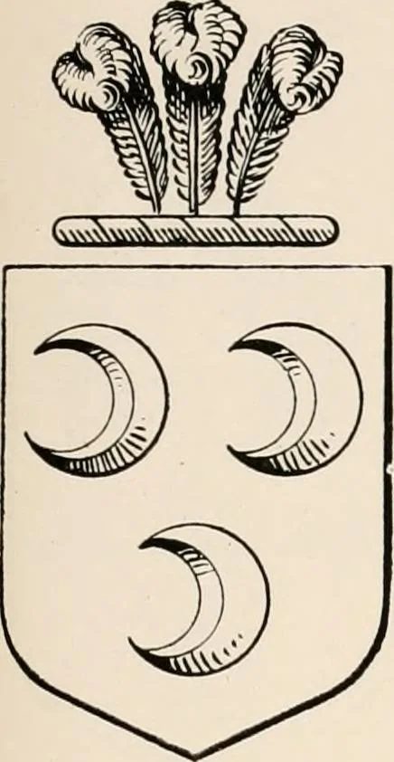 An illustration from Matthews' American armoury and blue book, 1907, leaf 302