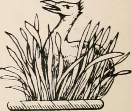 An illustration from Matthews' American armoury and blue book, 1907, leaf 327