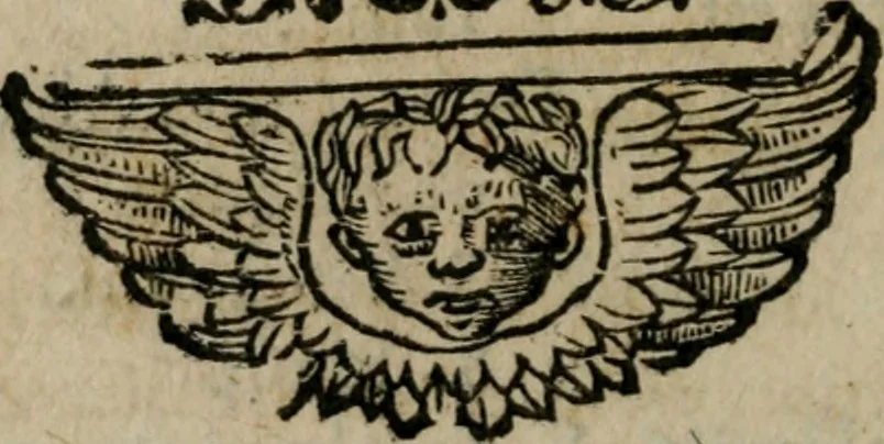 An illustration from M. Attilii Serrani De septem vrbis ecclesiis : vna cum earum reliquijs, stationibus, & indulgentijs, 1575, leaf 139