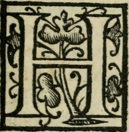 An illustration from M. Attilii Serrani De septem vrbis ecclesiis : vna cum earum reliquijs, stationibus, & indulgentijs, 1575, leaf 140