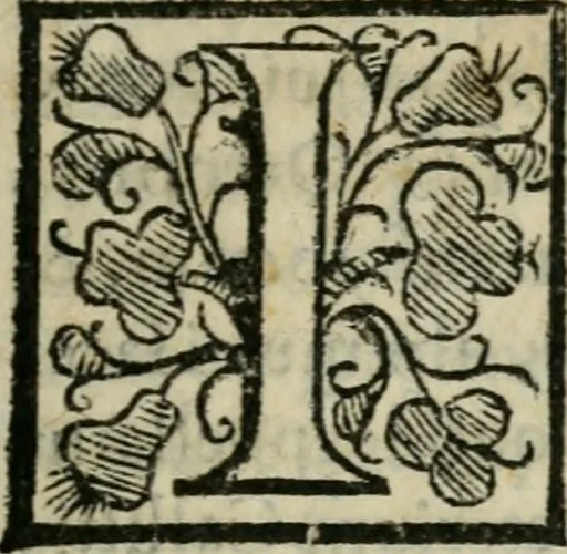 An illustration from M. Attilii Serrani De septem vrbis ecclesiis : vna cum earum reliquijs, stationibus, & indulgentijs, 1575, leaf 54