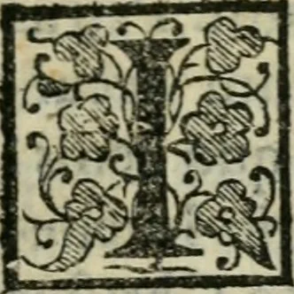 An illustration from M. Attilii Serrani De septem vrbis ecclesiis : vna cum earum reliquijs, stationibus, & indulgentijs, 1575, leaf 60