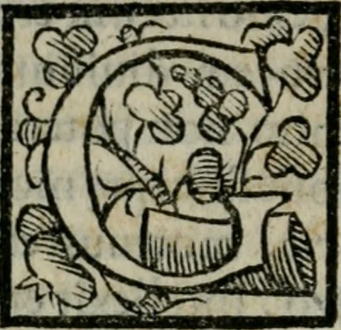 An illustration from M. Attilii Serrani De septem vrbis ecclesiis : vna cum earum reliquijs, stationibus, & indulgentijs, 1575, leaf 63