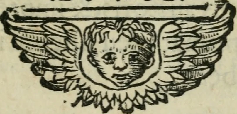 An illustration from M. Attilii Serrani De septem vrbis ecclesiis : vna cum earum reliquijs, stationibus, & indulgentijs, 1575, leaf 8