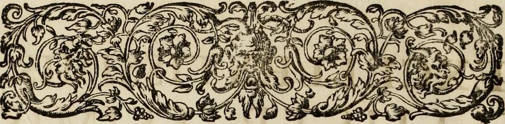 An illustration from Mausoleum potentissimorum ac gloriosissimorum Regni Apostolici regum & primorum militantis Ungariae ducum : vindicatis è mortuali pulvere reliquiis ad gratam apud posteros memoriam, à pIo et IVsto patrIae DoLore ereCtVM : cum versione operis Germanicâ, 1664, leaf 11