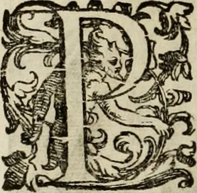 An illustration from Mausoleum potentissimorum ac gloriosissimorum Regni Apostolici regum & primorum militantis Ungariae ducum : vindicatis è mortuali pulvere reliquiis ad gratam apud posteros memoriam, à pIo et IVsto patrIae DoLore ereCtVM : cum versione operis Germanicâ, 1664, leaf 135