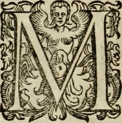 An illustration from Mausoleum potentissimorum ac gloriosissimorum Regni Apostolici regum & primorum militantis Ungariae ducum : vindicatis è mortuali pulvere reliquiis ad gratam apud posteros memoriam, à pIo et IVsto patrIae DoLore ereCtVM : cum versione operis Germanicâ, 1664, leaf 141
