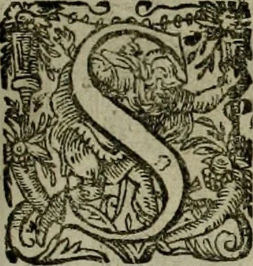 An illustration from Mausoleum potentissimorum ac gloriosissimorum Regni Apostolici regum & primorum militantis Ungariae ducum : vindicatis è mortuali pulvere reliquiis ad gratam apud posteros memoriam, à pIo et IVsto patrIae DoLore ereCtVM : cum versione operis Germanicâ, 1664, leaf 146