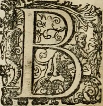 An illustration from Mausoleum potentissimorum ac gloriosissimorum Regni Apostolici regum & primorum militantis Ungariae ducum : vindicatis è mortuali pulvere reliquiis ad gratam apud posteros memoriam, à pIo et IVsto patrIae DoLore ereCtVM : cum versione operis Germanicâ, 1664, leaf 153