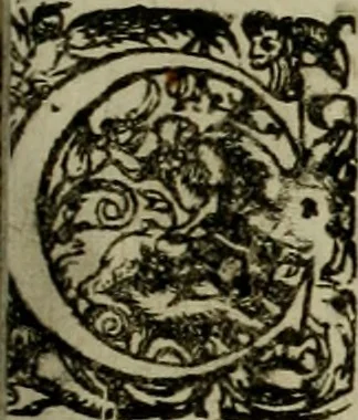 An illustration from Mausoleum potentissimorum ac gloriosissimorum Regni Apostolici regum & primorum militantis Ungariae ducum : vindicatis è mortuali pulvere reliquiis ad gratam apud posteros memoriam, à pIo et IVsto patrIae DoLore ereCtVM : cum versione operis Germanicâ, 1664, leaf 170