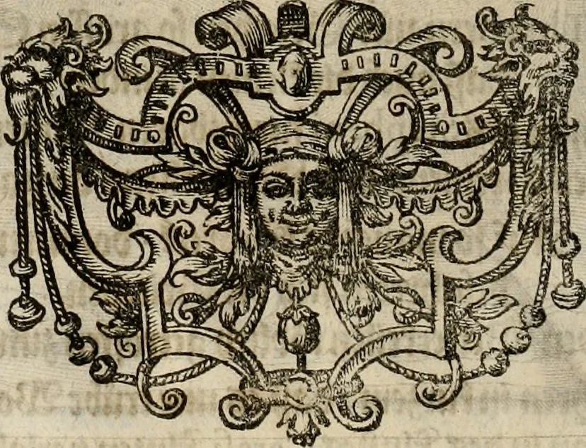 An illustration from Mausoleum potentissimorum ac gloriosissimorum Regni Apostolici regum & primorum militantis Ungariae ducum : vindicatis è mortuali pulvere reliquiis ad gratam apud posteros memoriam, à pIo et IVsto patrIae DoLore ereCtVM : cum versione operis Germanicâ, 1664, leaf 183