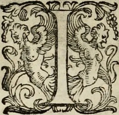 An illustration from Mausoleum potentissimorum ac gloriosissimorum Regni Apostolici regum & primorum militantis Ungariae ducum : vindicatis è mortuali pulvere reliquiis ad gratam apud posteros memoriam, à pIo et IVsto patrIae DoLore ereCtVM : cum versione operis Germanicâ, 1664, leaf 195