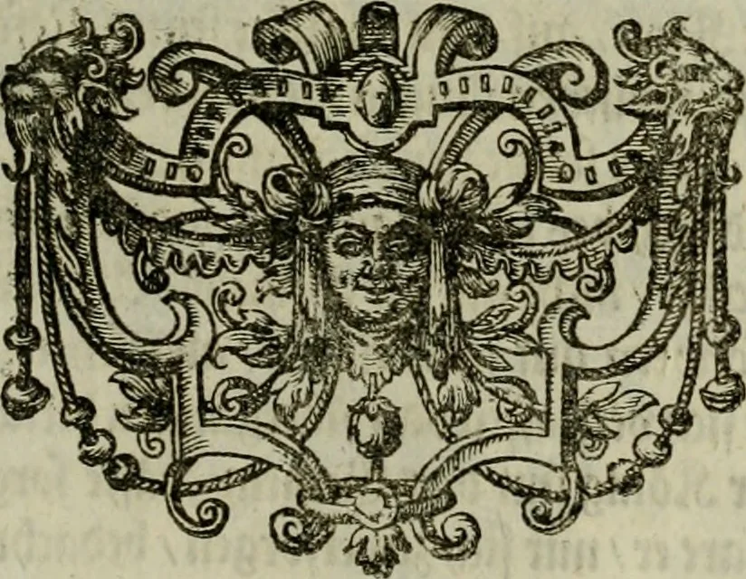 An illustration from Mausoleum potentissimorum ac gloriosissimorum Regni Apostolici regum & primorum militantis Ungariae ducum : vindicatis è mortuali pulvere reliquiis ad gratam apud posteros memoriam, à pIo et IVsto patrIae DoLore ereCtVM : cum versione operis Germanicâ, 1664, leaf 196