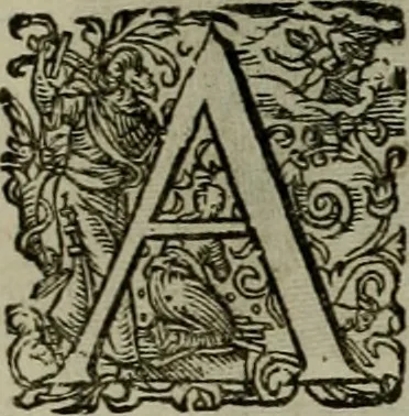 An illustration from Mausoleum potentissimorum ac gloriosissimorum Regni Apostolici regum & primorum militantis Ungariae ducum : vindicatis è mortuali pulvere reliquiis ad gratam apud posteros memoriam, à pIo et IVsto patrIae DoLore ereCtVM : cum versione operis Germanicâ, 1664, leaf 20