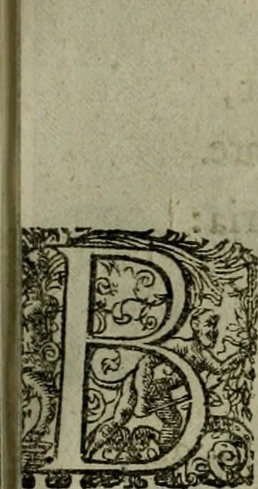 An illustration from Mausoleum potentissimorum ac gloriosissimorum Regni Apostolici regum & primorum militantis Ungariae ducum : vindicatis è mortuali pulvere reliquiis ad gratam apud posteros memoriam, à pIo et IVsto patrIae DoLore ereCtVM : cum versione operis Germanicâ, 1664, leaf 200