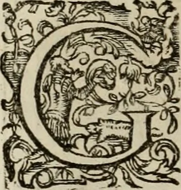An illustration from Mausoleum potentissimorum ac gloriosissimorum Regni Apostolici regum & primorum militantis Ungariae ducum : vindicatis è mortuali pulvere reliquiis ad gratam apud posteros memoriam, à pIo et IVsto patrIae DoLore ereCtVM : cum versione operis Germanicâ, 1664, leaf 205