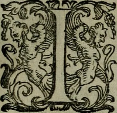 An illustration from Mausoleum potentissimorum ac gloriosissimorum Regni Apostolici regum & primorum militantis Ungariae ducum : vindicatis è mortuali pulvere reliquiis ad gratam apud posteros memoriam, à pIo et IVsto patrIae DoLore ereCtVM : cum versione operis Germanicâ, 1664, leaf 210