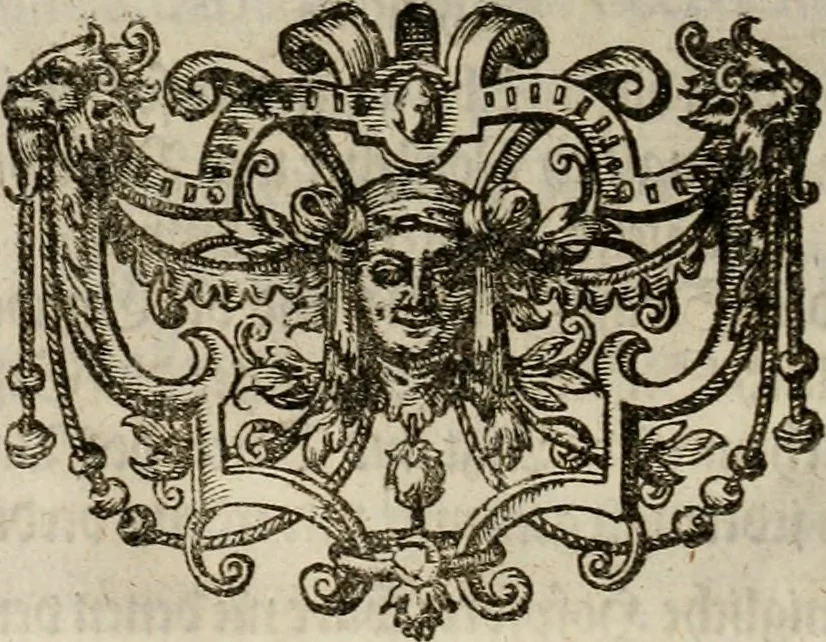 An illustration from Mausoleum potentissimorum ac gloriosissimorum Regni Apostolici regum & primorum militantis Ungariae ducum : vindicatis è mortuali pulvere reliquiis ad gratam apud posteros memoriam, à pIo et IVsto patrIae DoLore ereCtVM : cum versione operis Germanicâ, 1664, leaf 213