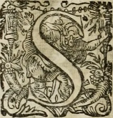 An illustration from Mausoleum potentissimorum ac gloriosissimorum Regni Apostolici regum & primorum militantis Ungariae ducum : vindicatis è mortuali pulvere reliquiis ad gratam apud posteros memoriam, à pIo et IVsto patrIae DoLore ereCtVM : cum versione operis Germanicâ, 1664, leaf 215