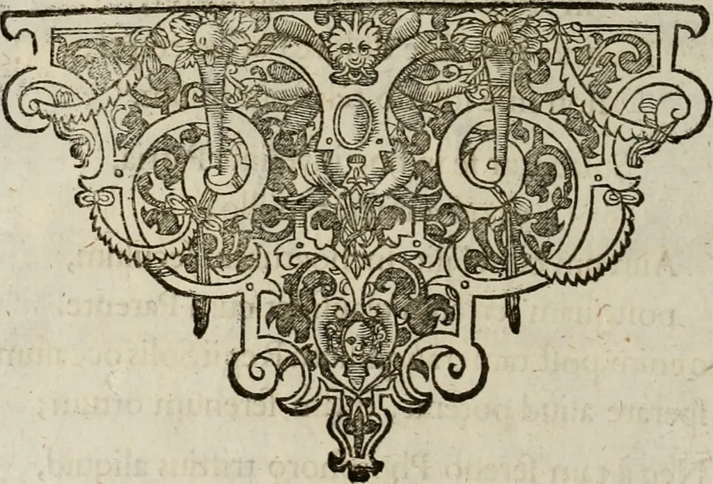 An illustration from Mausoleum potentissimorum ac gloriosissimorum Regni Apostolici regum & primorum militantis Ungariae ducum : vindicatis è mortuali pulvere reliquiis ad gratam apud posteros memoriam, à pIo et IVsto patrIae DoLore ereCtVM : cum versione operis Germanicâ, 1664, leaf 221