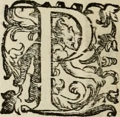An illustration from Mausoleum potentissimorum ac gloriosissimorum Regni Apostolici regum & primorum militantis Ungariae ducum : vindicatis è mortuali pulvere reliquiis ad gratam apud posteros memoriam, à pIo et IVsto patrIae DoLore ereCtVM : cum versione operis Germanicâ, 1664, leaf 225