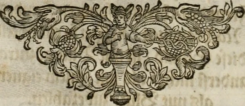 An illustration from Mausoleum potentissimorum ac gloriosissimorum Regni Apostolici regum & primorum militantis Ungariae ducum : vindicatis è mortuali pulvere reliquiis ad gratam apud posteros memoriam, à pIo et IVsto patrIae DoLore ereCtVM : cum versione operis Germanicâ, 1664, leaf 23
