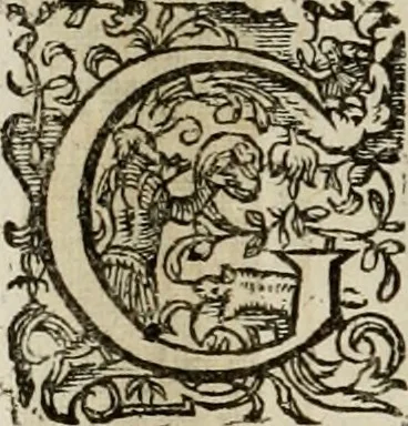An illustration from Mausoleum potentissimorum ac gloriosissimorum Regni Apostolici regum & primorum militantis Ungariae ducum : vindicatis è mortuali pulvere reliquiis ad gratam apud posteros memoriam, à pIo et IVsto patrIae DoLore ereCtVM : cum versione operis Germanicâ, 1664, leaf 241